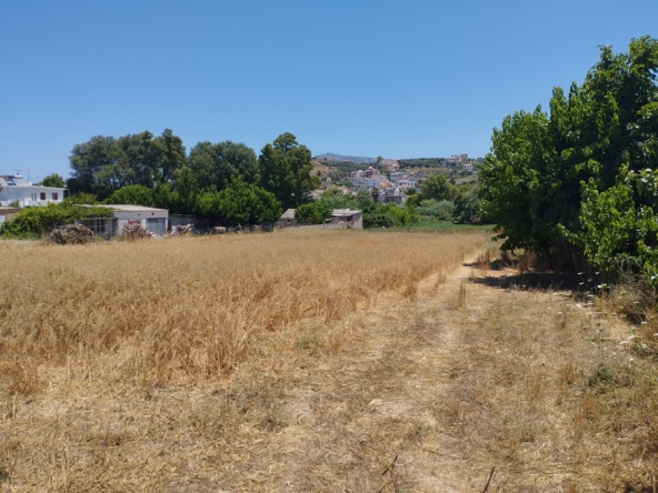 land-for-sale-in-kalyves-chania-KL475IMG_20220701_132306